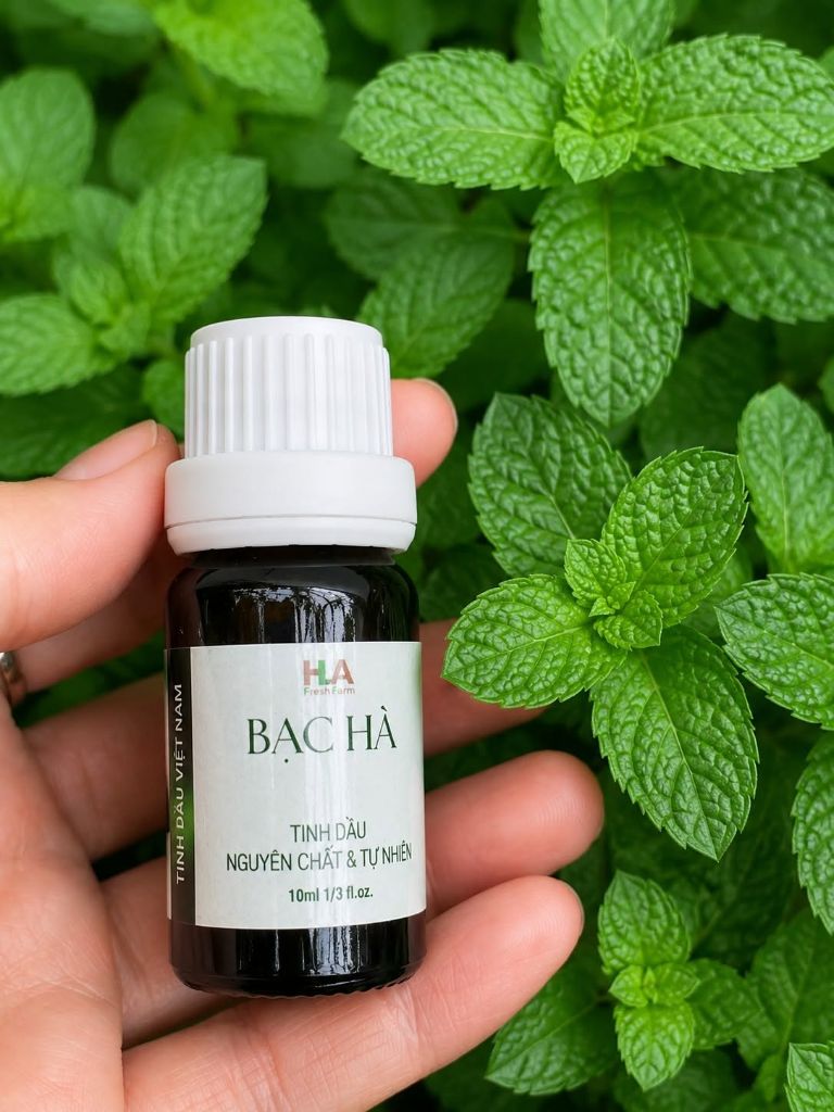 Tinh Dầu Bạc Hà