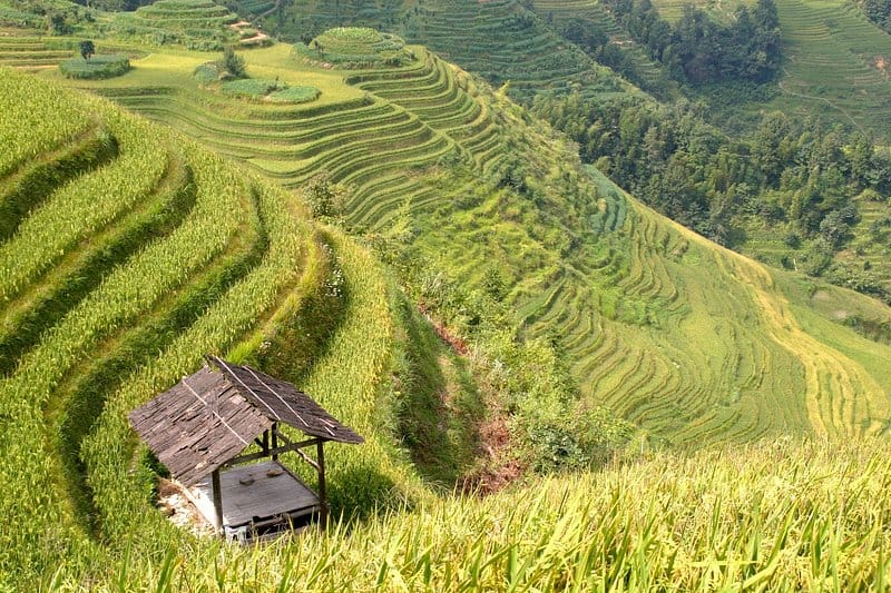 Hành trình từ vùng đất Quảng Bình đến những sản phẩm thiên nhiên chất lượng